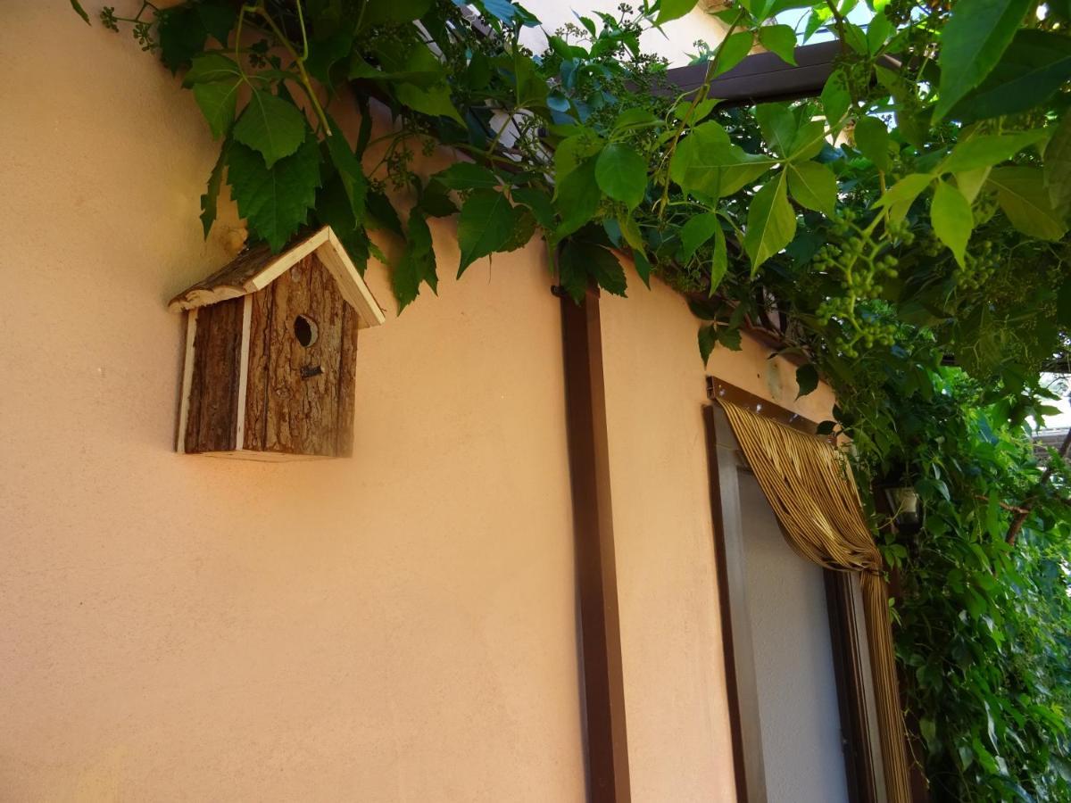 La Muntanya - Apartamentos Rural Guadalest Бенимантель Экстерьер фото